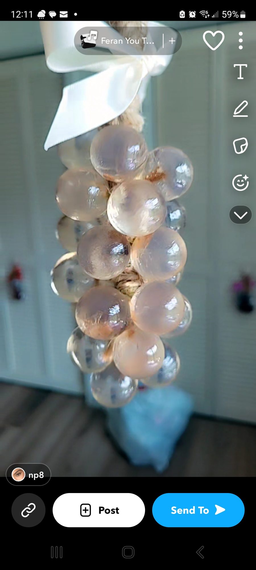Pumpkin Spice Grape Vine